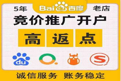 百度竞价SEM案例研究：提升转化率的关键策略